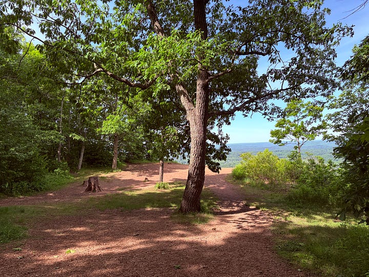 sky, grass, rocks, ridge, clouds, tree, trail, dirt