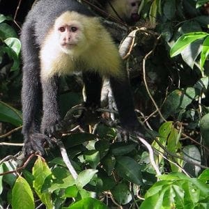 visiting Panama