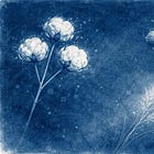 Reinvención de un lugar