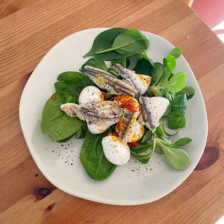 salades anchois mozzarella