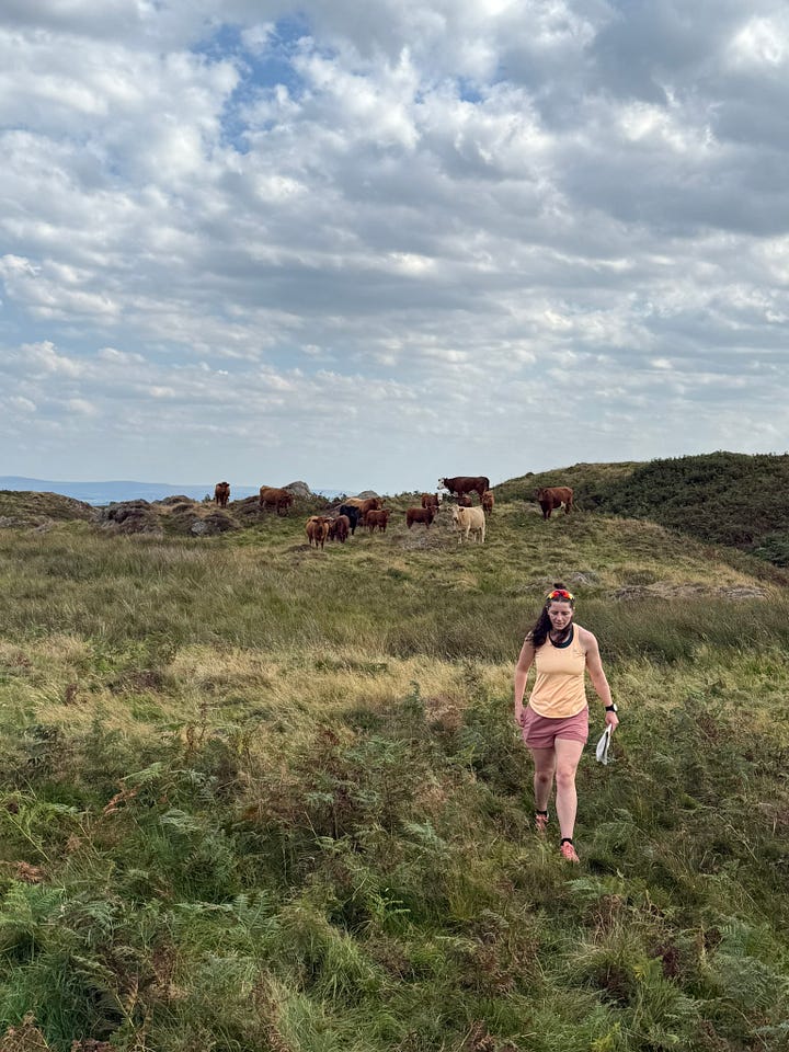 Photo 1 at a follow with a map & compass. Photo 2 in a field with cows.