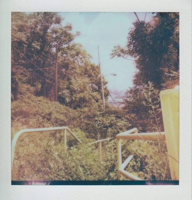 Polaroid at the top of the Welsh Way city steps in the Knoxville Incline Greenway.