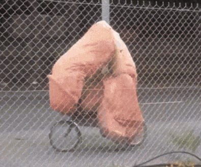 https://tenor.com/view/bike-penis-dick-cycling-gif-4638481