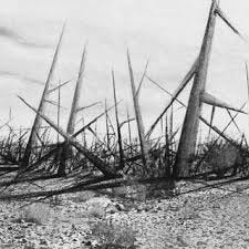 3 "Landscape of Thorns," concept by Michael Brill and art by Safdar... |  Download Scientific Diagram