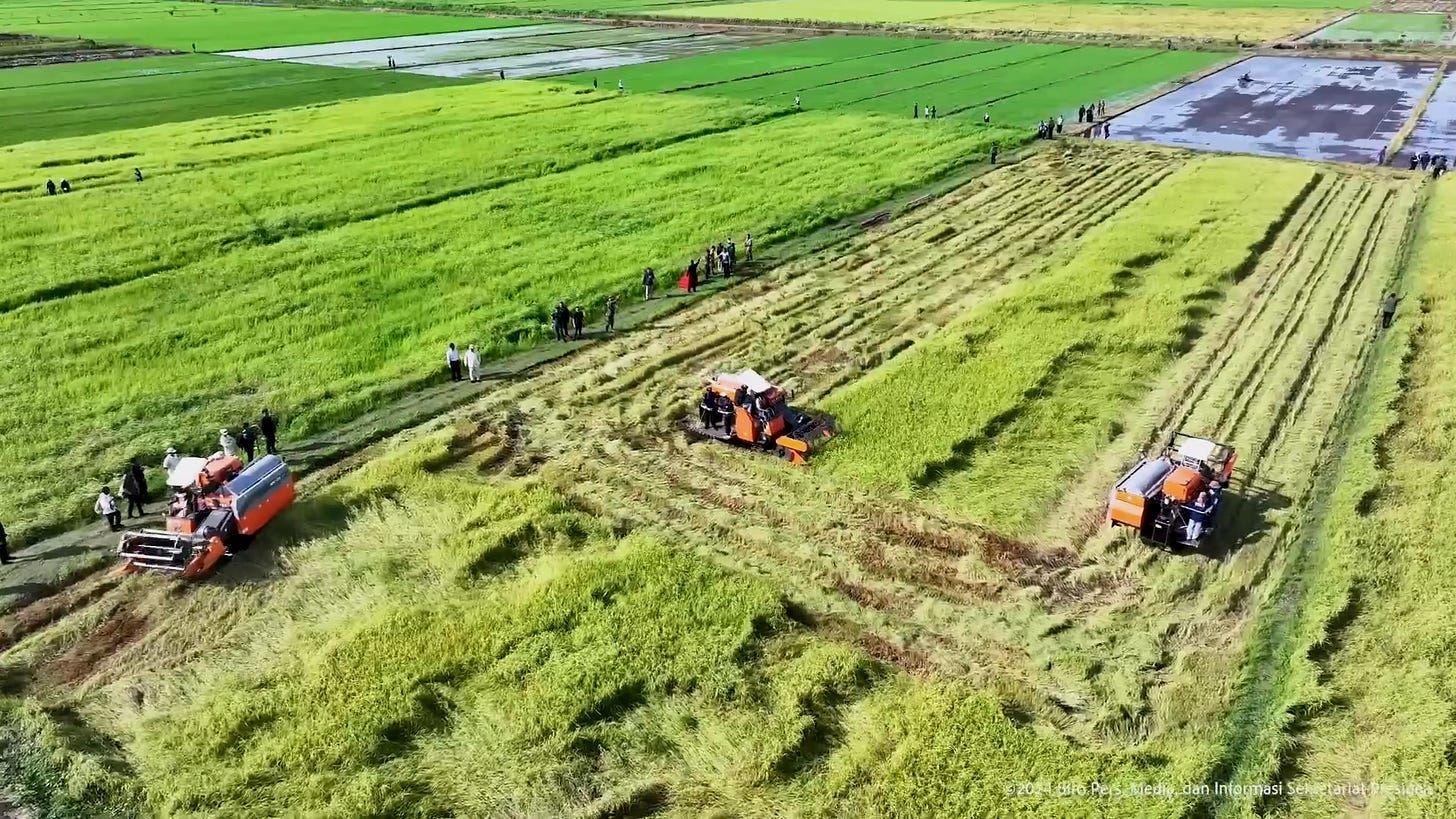 Part of a forest area in Merauke, South Papua, converted into rice fields