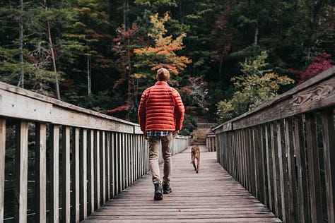 People in a yoga class, a man walking with his dog, a family out for a walk, a woman exercising, a person lifting weights, a person running.