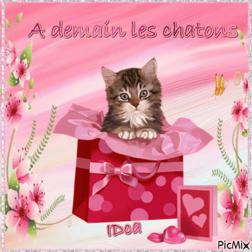 A demain les chatons - Free animated GIF - PicMix