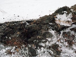 OLYMPUS DIGITAL CAMERA OLYMPUS DIGITAL CAMERA