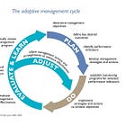 All roads lead to Basel