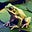 soapyfrog's avatar
