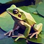soapyfrog's avatar