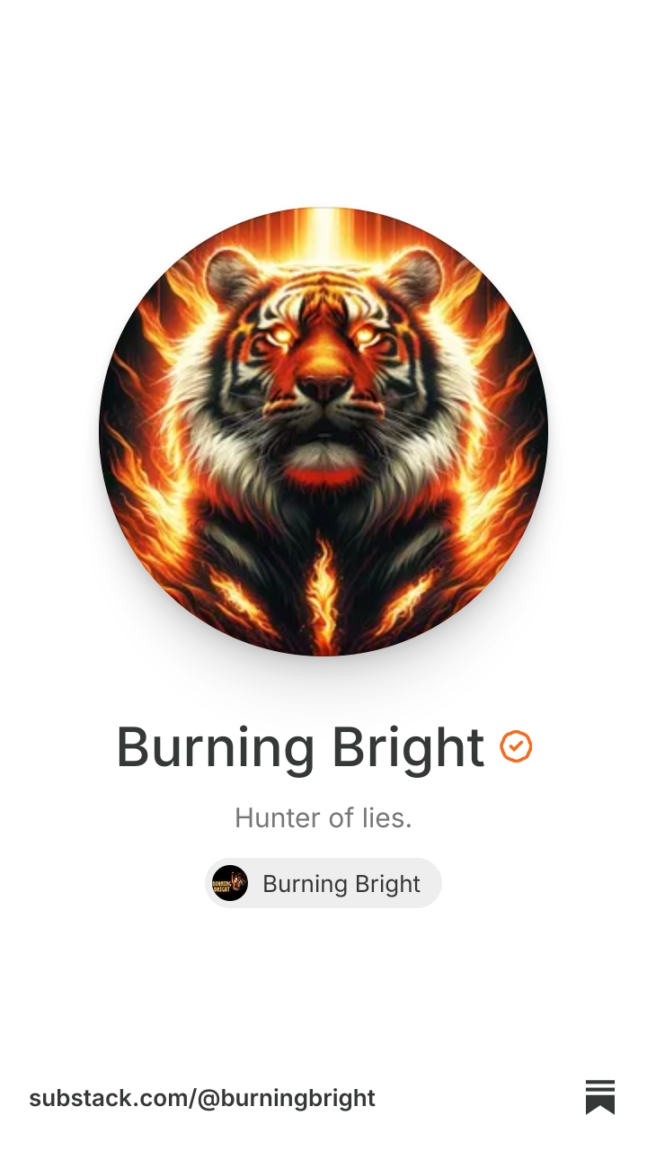Burning Bright | Substack