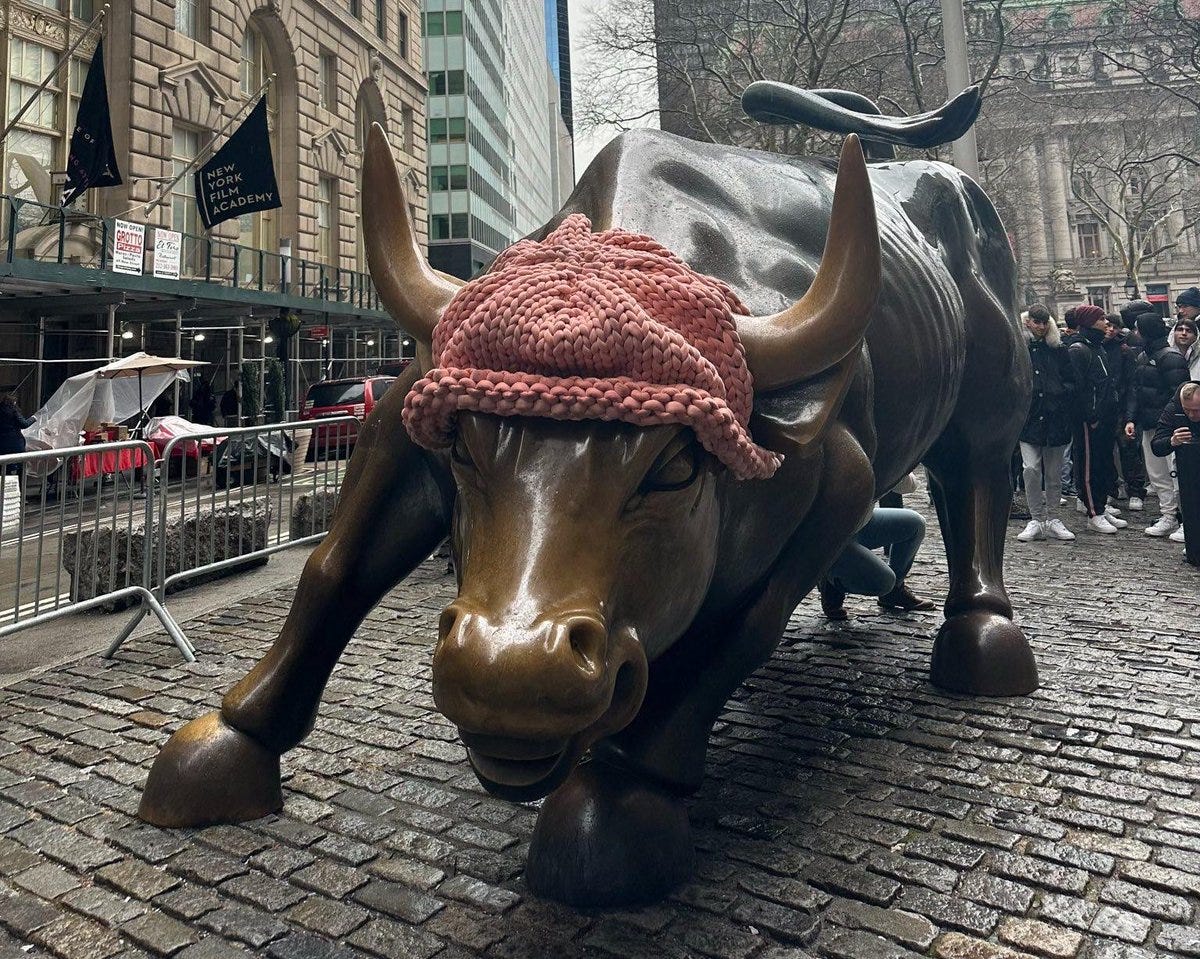 OSF on X: "Bull wif hat https://t.co/aEdzQdWv2u" / X