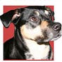 Charlie to the Rescue!'s avatar