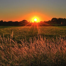 The Sun We Can't See