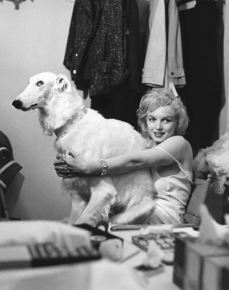 This may contain: a woman sitting in a chair holding a dog