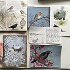 Sketchbook Share: January