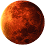 We Are Not Going To Mars's avatar