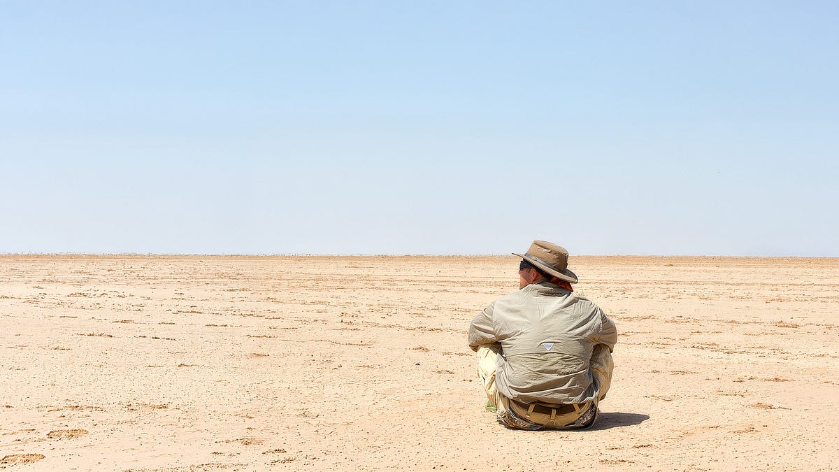 Newsletter cover: Fixing Versus Facing