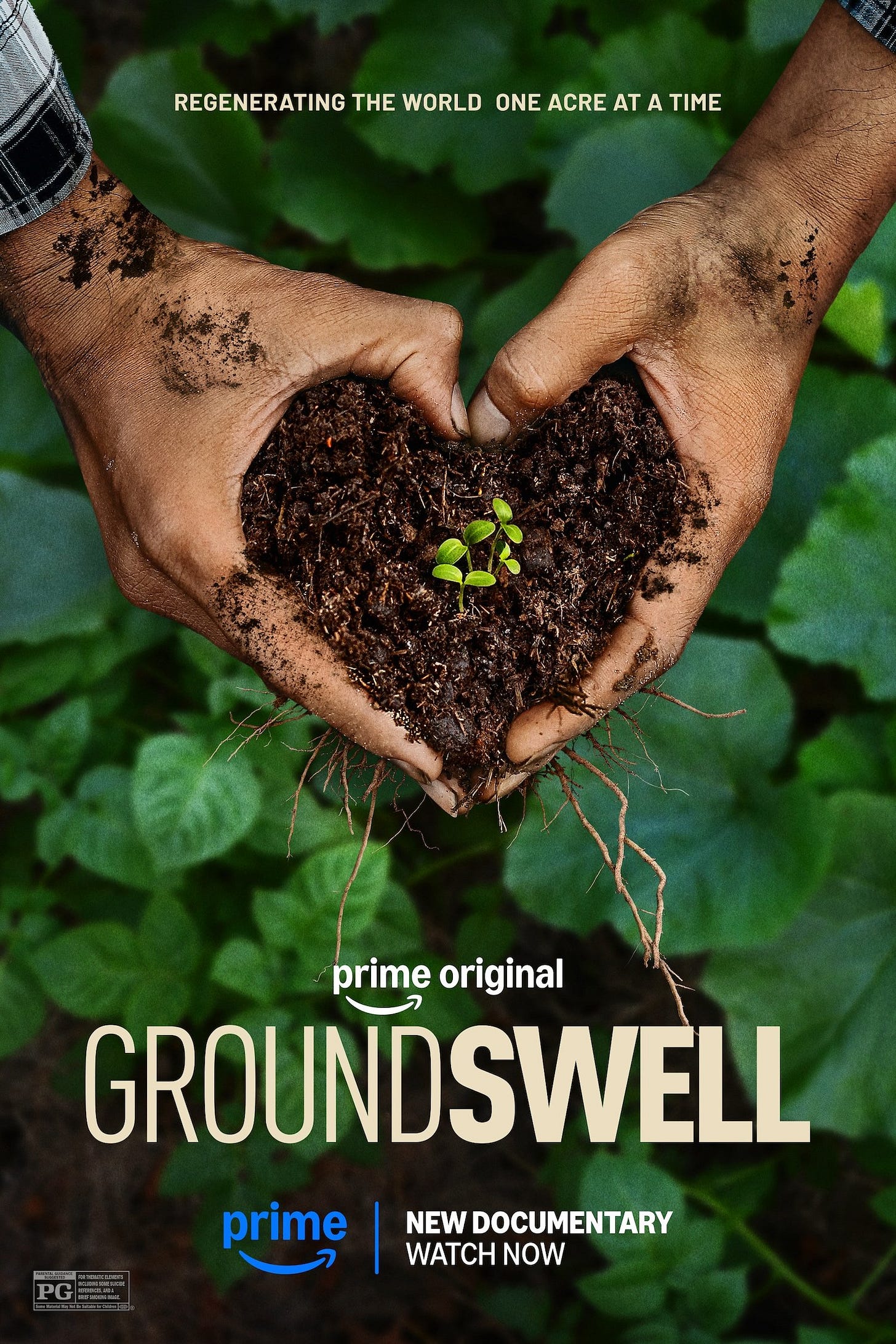 Groundswell Film - Official Poster - Prime Video