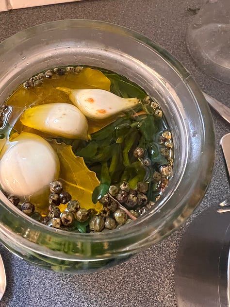 Stamnagathi Pickles