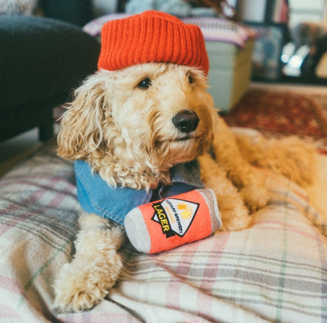 brown poodle wearing red knit hat