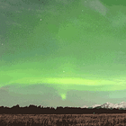 Inside Carrie Fisher's Upbringing With Difficult Parents! Tabs, Mon., April 22, 2024