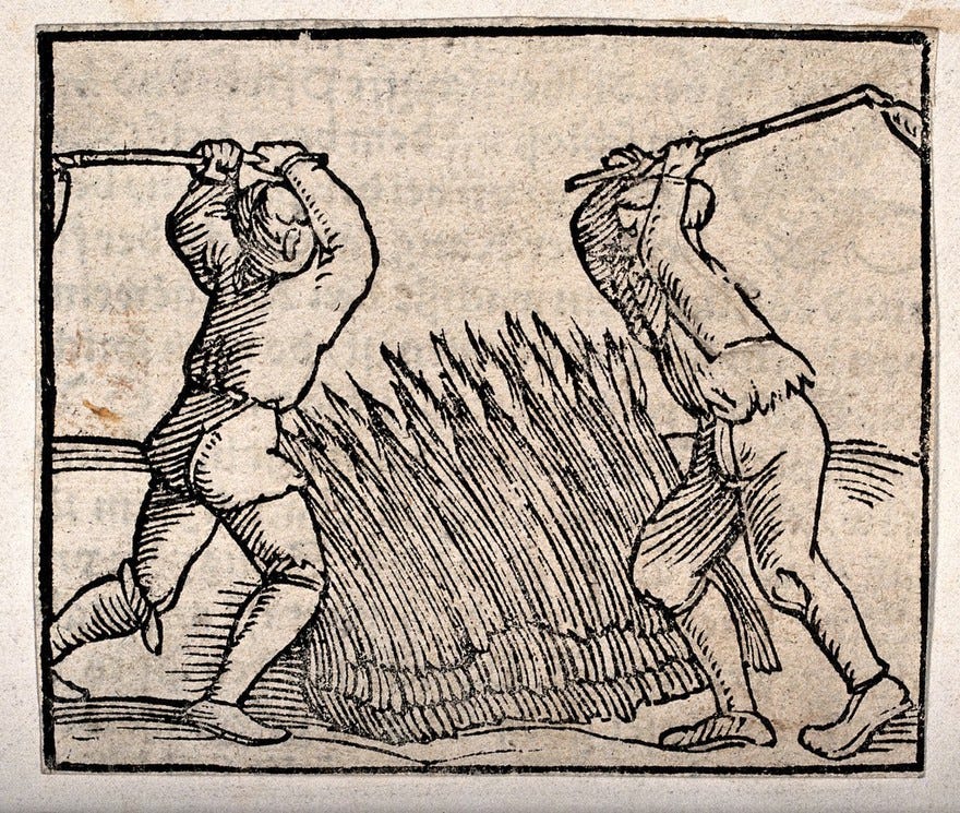 I'm sure they're threshing grain together with comity and joy.