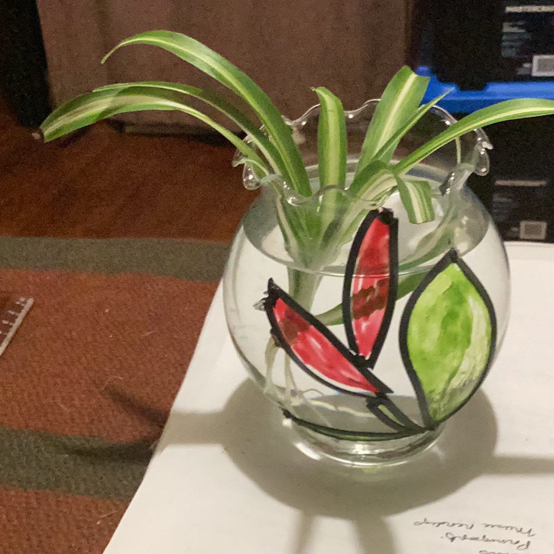 Carolyn’s view on the world