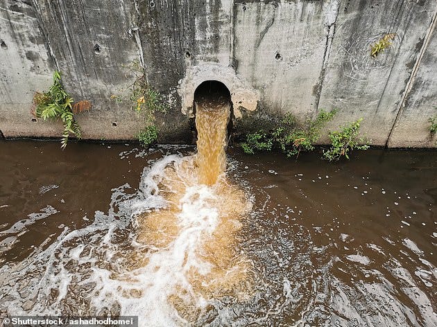 Scientists reveal results of River Thames 'health check' | Daily Mail ...