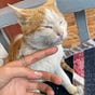 AmoRa🕊️'s avatar
