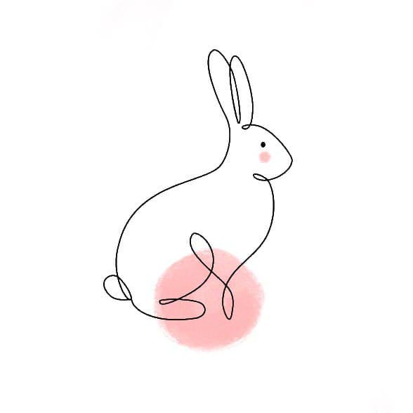 rabbit holes \ud83d\udd73️\ud83d\udc07