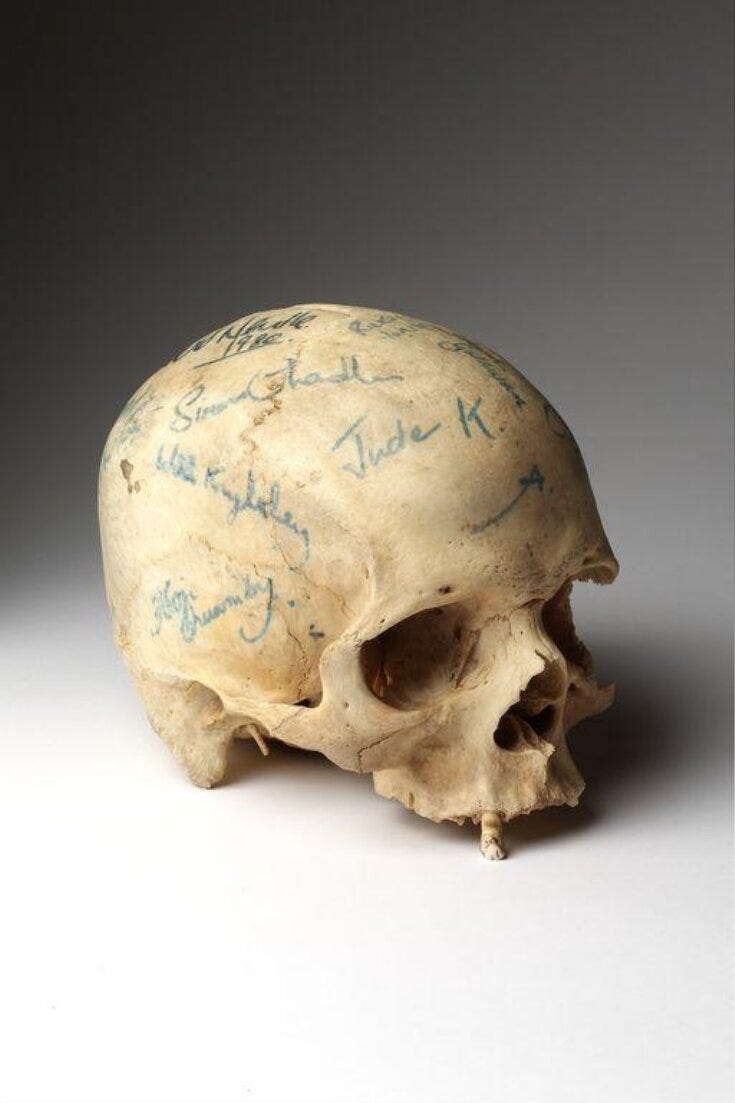 Skull top image