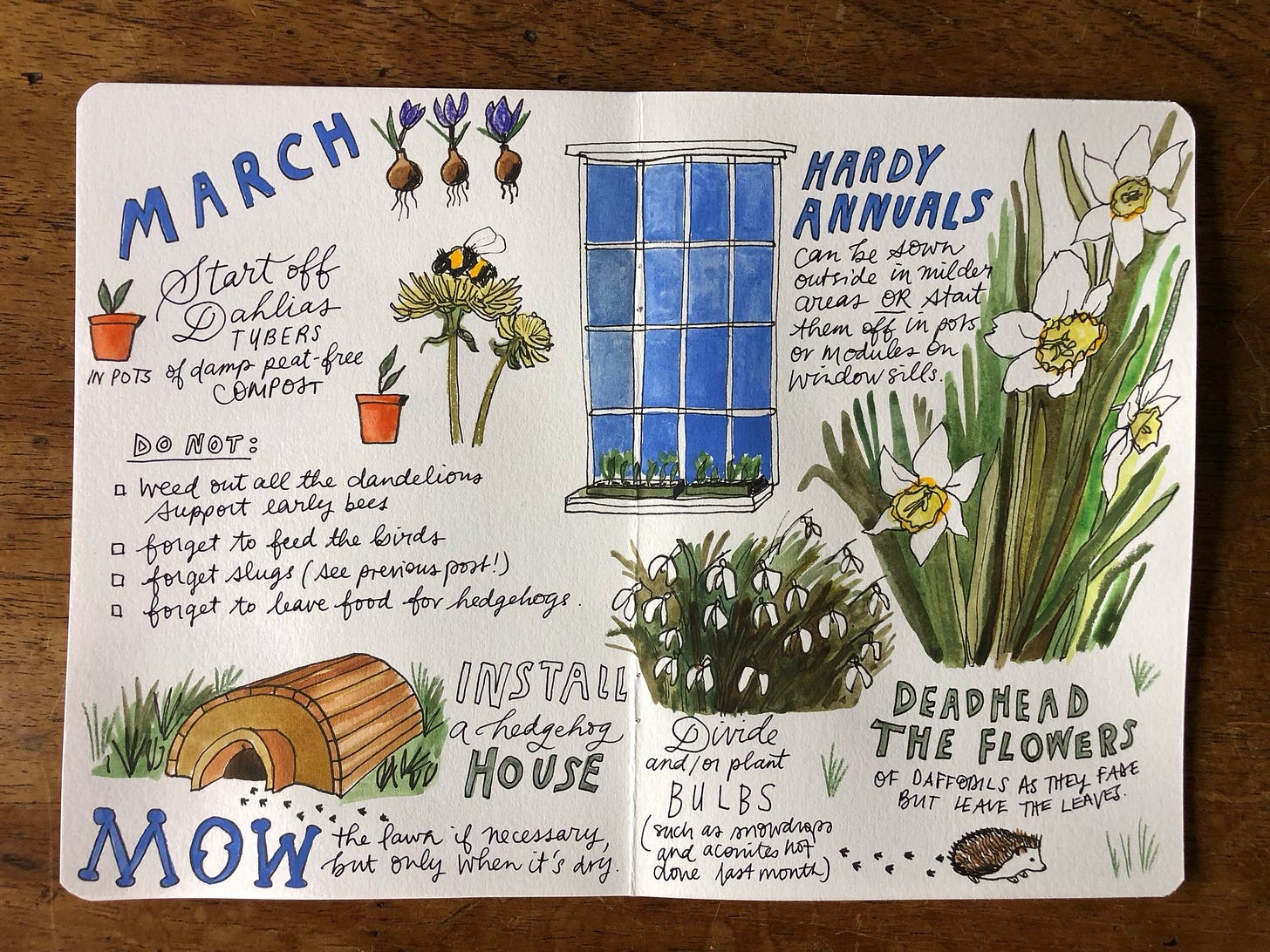 Journal drawings for March