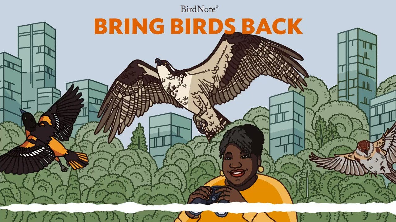@BirdNoteRadio's video Tweet