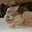 MatTehCat's avatar
