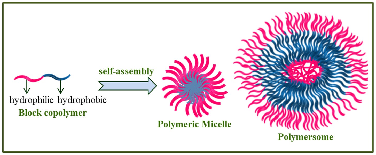 Amphiphilic Block Copolymers: Their Structures, and Self-Assembly to  Polymeric Micelles and Polymersomes as Drug Delivery Vehicles