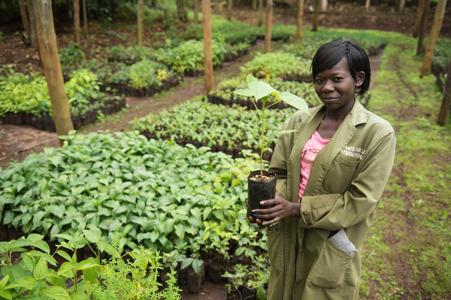 Africa | Botanic Gardens Conservation International