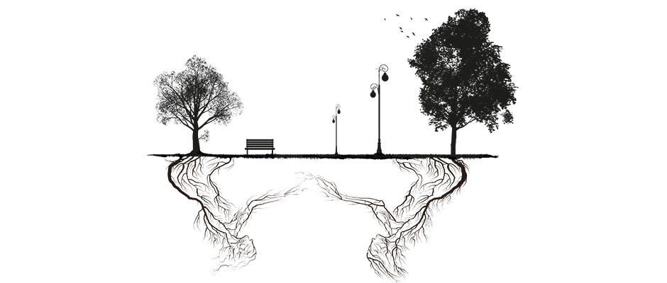 Mycorrhizal networks: what exactly is the wood-wide web? © Tidy Designs Mycorrhizal networks: what exactly is the wood-wide web? © Tidy Designs