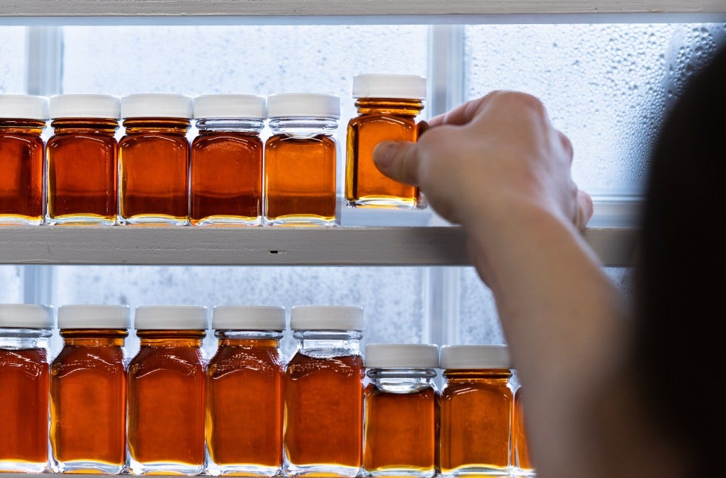 As Winters Get Warmer, Maple Farmers are Learning to Adapt