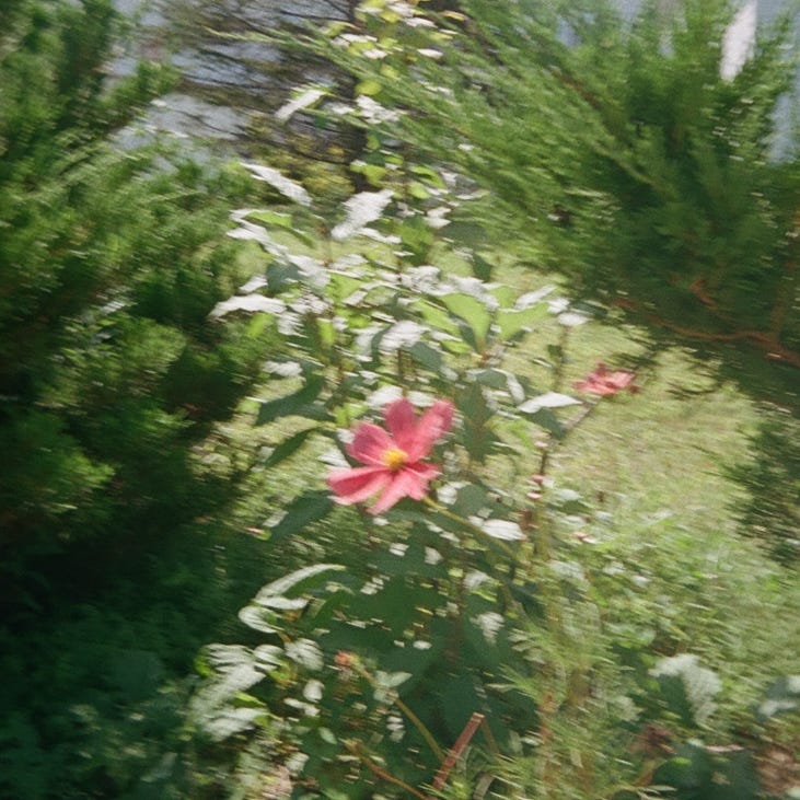 Horace's Super Stellar Blog 