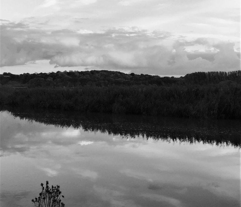 River Arun, Sussex-xs. Featured in Mary Oliver's 