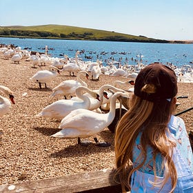 Reclaiming the Feminine in Learning