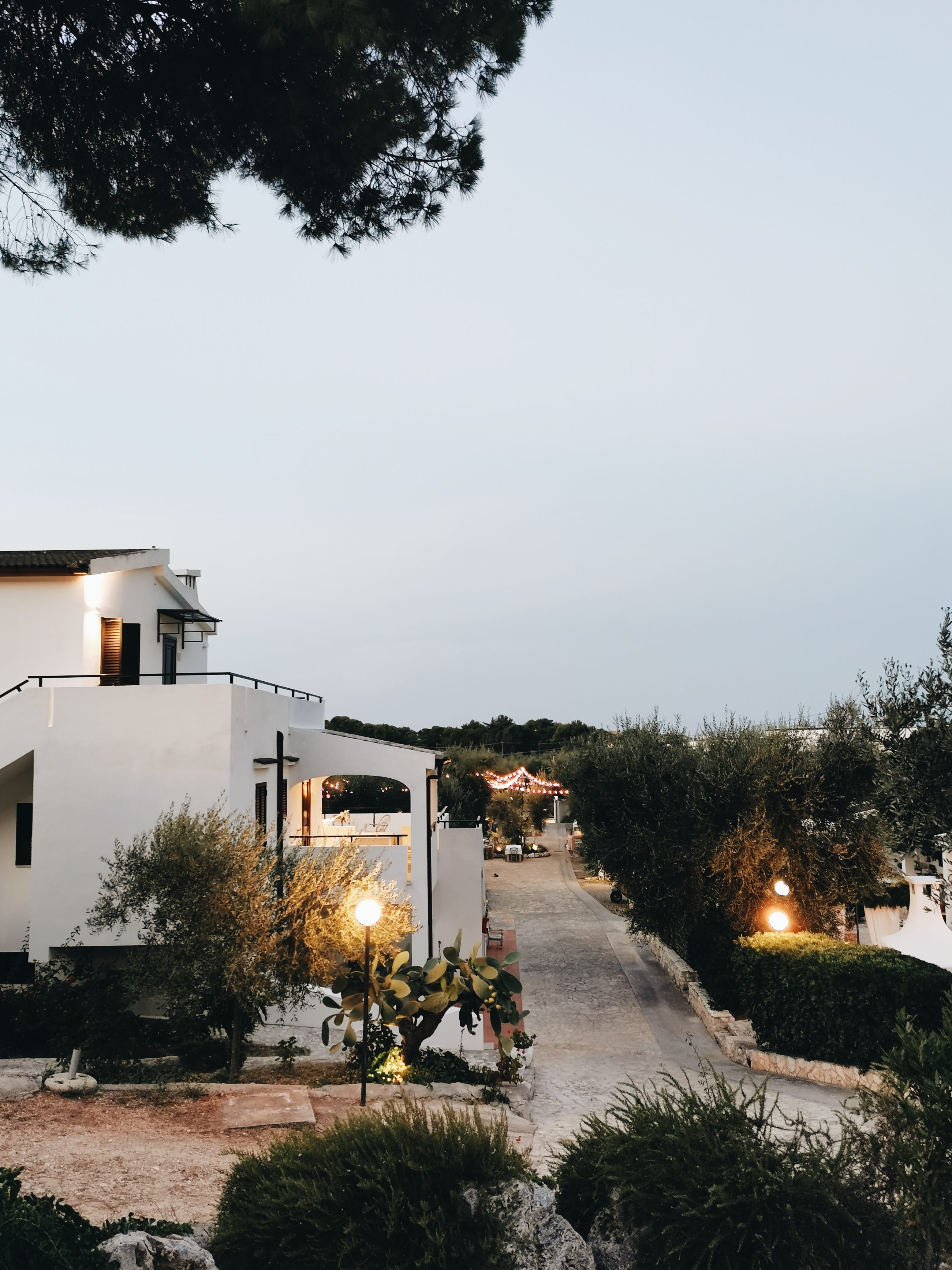 Native Italian instructors teach the language and culture, image size:2601x3469