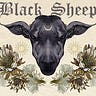 The Black Sheep