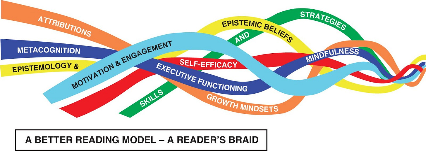 A braid of the different reader strategies A braid of the different reader strategies