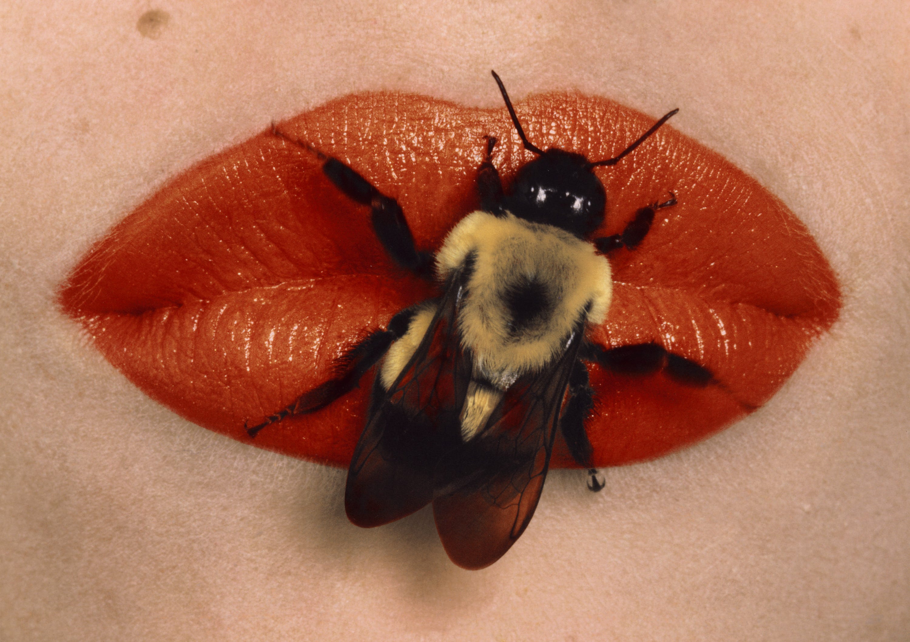Irving Penn Photographs in Gstaad | Gagosian's First Exhibition