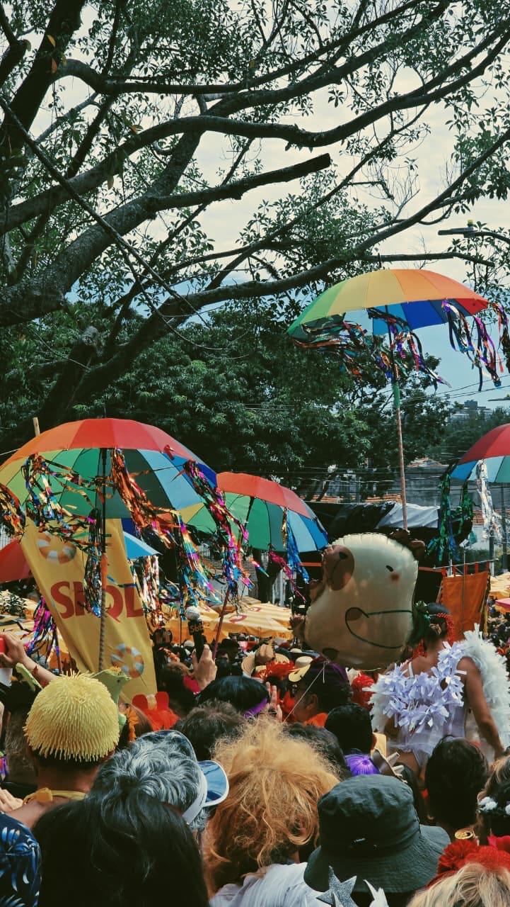 Bloco de carnaval: uma imagem colorida com guarda-chuvas coloridos com fitas, um balão de capivaras, uma árvore e uma multidão de pessoas curtindo o carnaval