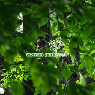 Artwork for Hillary Gonzalez