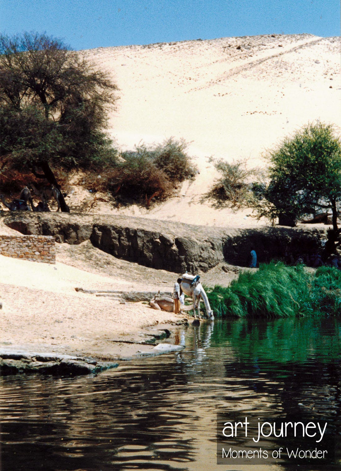 Aswan dune Nile camel drinking